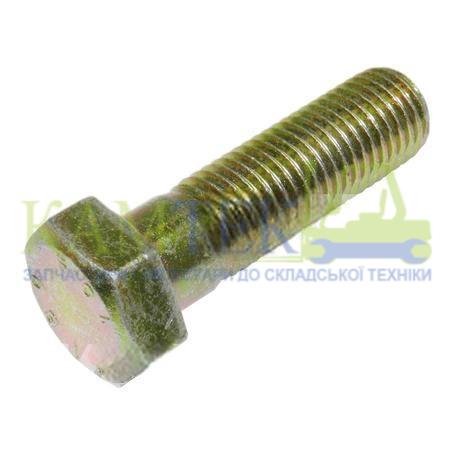 101082070_2025-01-20_11-00-52 Болт