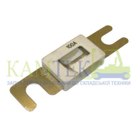 106TA4921_2025-02-24_11-19-47 Предохранитель 100A