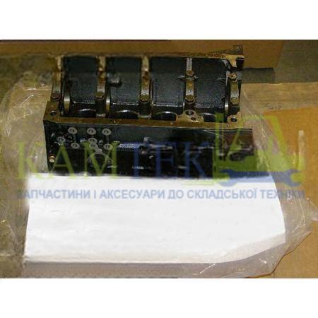 11000FU400_2025-01-20_10-59-02 Блок цилиндров двигателя Nissan K21