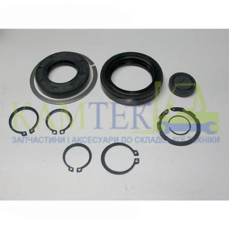 12N4319801 Ремкомплект МКПП навантажувача TCM