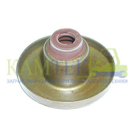 1320766700_2025-06-30_12-01-51 Сальник клапана Н20