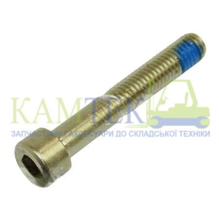 258064_2025-02-12_08-53-22 Гвинт з шестигранним отвором у головці BT