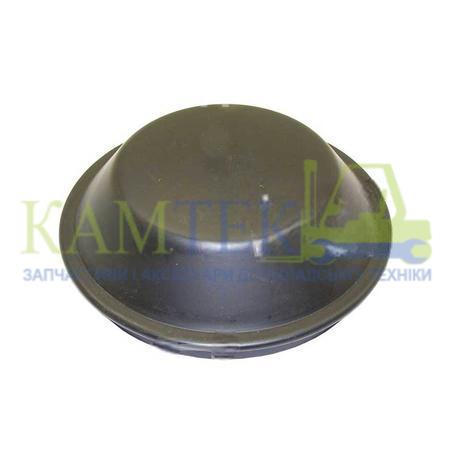 3EC2431320SA_2025-02-03_12-32-10 Крышка ступицы