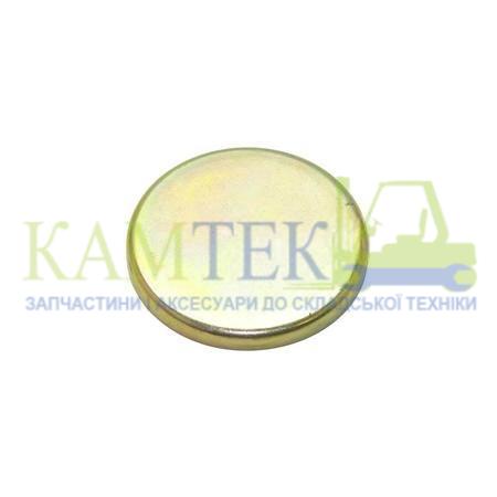 490B01009_2025-05-23_14-49-59 Пробка розподільчого вала 490BPG