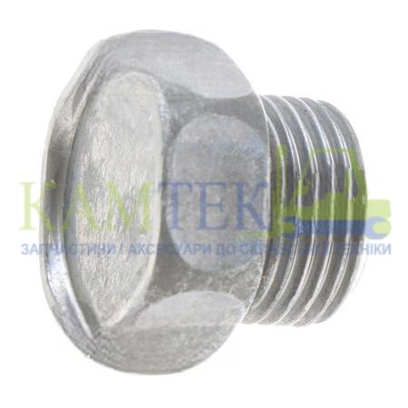 9042500310_2025-10-18_18-31-37 Пробка поддона TB45