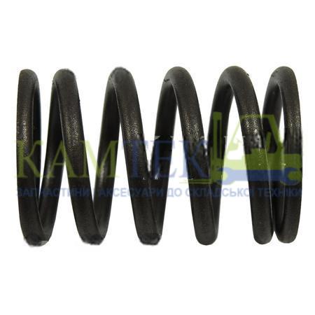 NA385B03004_2025-05-31_00-13-34 Пружина клапана NB485BPG